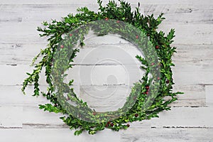 Boxwood wreath on white shiplap board background
