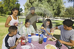 Boy (13-15) with family at picnic.