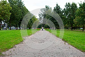 A boy from afar runs to the camera