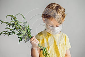 The boy is allergic to ragweed. In a medical mask, he holds a ragweed bush in his hands. Allergy to ambrosia concept.