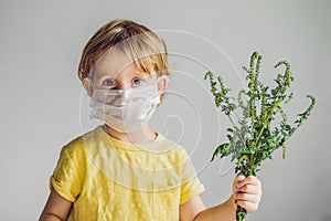 The boy is allergic to ragweed. In a medical mask, he holds a ra