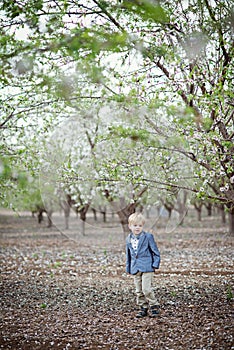 Boy and almond blossom