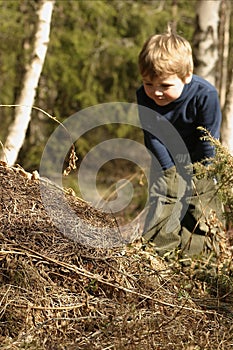 Boy and ant-hill