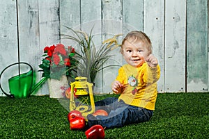 Boy and apples