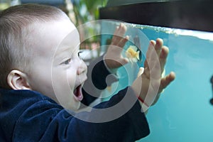 Boy and aquarium