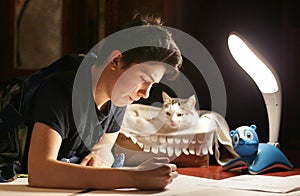 Boy architect student working on drafting project in night with cat in box beside