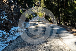 A boy with a backpack walks alone along a forest road, a child explores wildlife. Travel and hiking