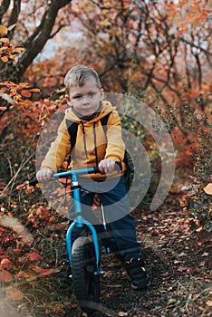 Boy on a balance bike ride in the autumn forest