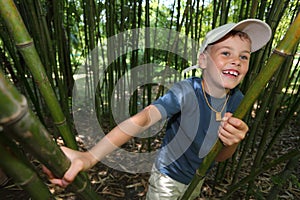 Boy in bamboo grove in Sochi arboretum photo