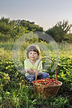 boy with basket of berries