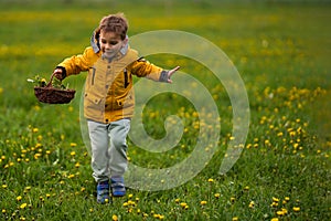 A boy with a basket full of dandelions runs and jumps among the grass. Happy smiling boy jumping in air.