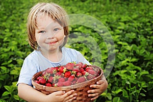 Boy with basket of strawberry
