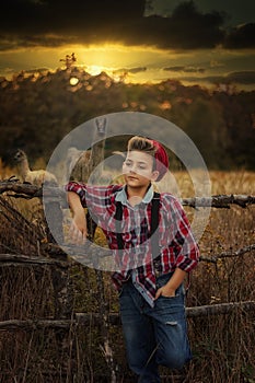 Boy in beautiful sunset and animals