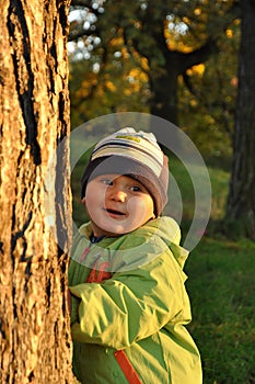 Boy behind tree