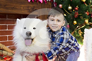 A boy with a big dog at Christmas.