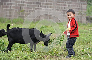 Boy and black goat