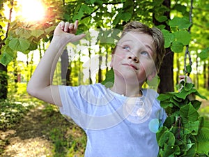 The boy with blond hair raised a finger up. Look up. An idea came up, a hunch. A child in the forest. The sun breaks through the photo