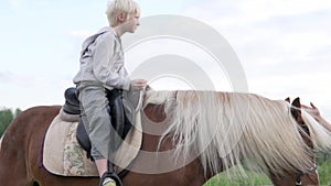 The boy blond sits on horseback in a stake.