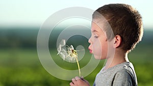 Boy blowing on big dandelion or salsify at sunset.