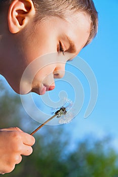 Boy blowing dandelion