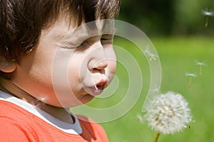 Boy blowing dandelion