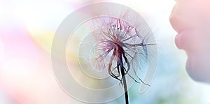 Boy blowing a dandelion seed, blowing fluffy blowball