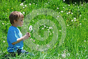 Boy blowing dandelion seeds