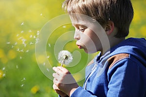 Boy blowing dandelion seeds in a field