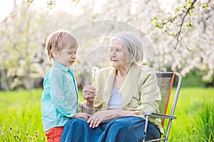 Boy blowing dandelion seeds while his great grandmother is holding a flower