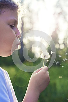 Boy blowing a dandelion at sunset beautiful light