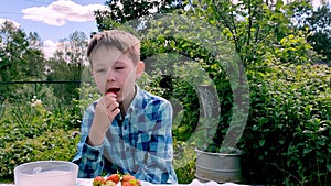 boy in a blue checkered shirt eats strawberries