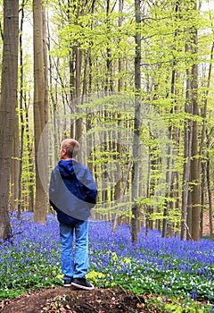 Boy in the blue forest