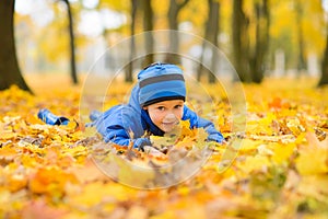 Ragazzo blu giacca un un cappello scavando braccia da acero foglie 