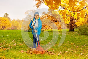 Boy in blue jacket with rake cleaning grass