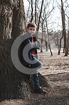 A boy in a blue jacket stands with his back to a tree