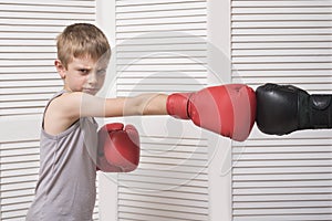 Boy in boxing gloves fights with a man`s hand in a glove.