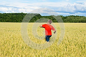 The boy in a bright T-shirt runs along the yellow field where ears of grain grow, the grain against the blue sky, the rear view.