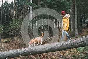 Boy in bright yellow parka walks with his beagle dog in pine for