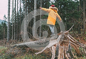 Boy in bright yellow puffer jacket walks in pine forest balancing on the falling tree. People and Nature concept image.