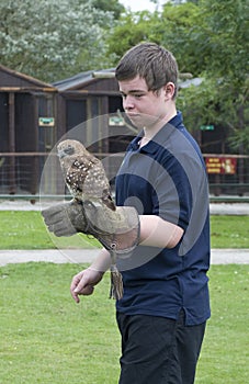 Boy with Brown Wood Owl