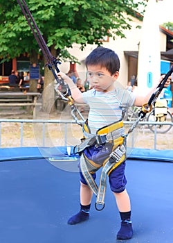 Boy on the bungee trempoline