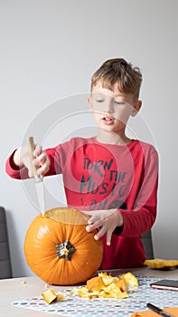 Boy busy carving a pumpkin jack-o-lantern for Halloween - removing the seeds