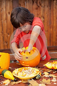 Boy busy carving a pumpkin jack-o-lantern for Halloween