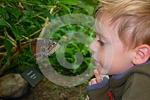 Boy with Butterfly