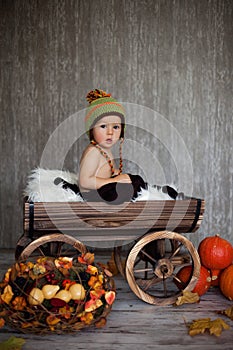 Boy in a carriage