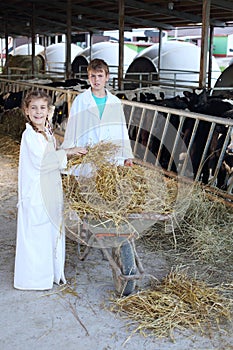 Boy carries hay in wheelbarrow and girl stands