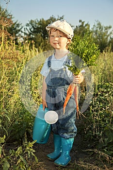 Boy with a carrot and a watering can