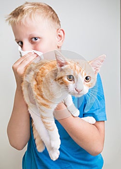 A boy with cat allergy