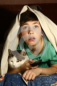 Boy with cat watch horror movie