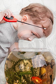 Boy catches fish in aquarium